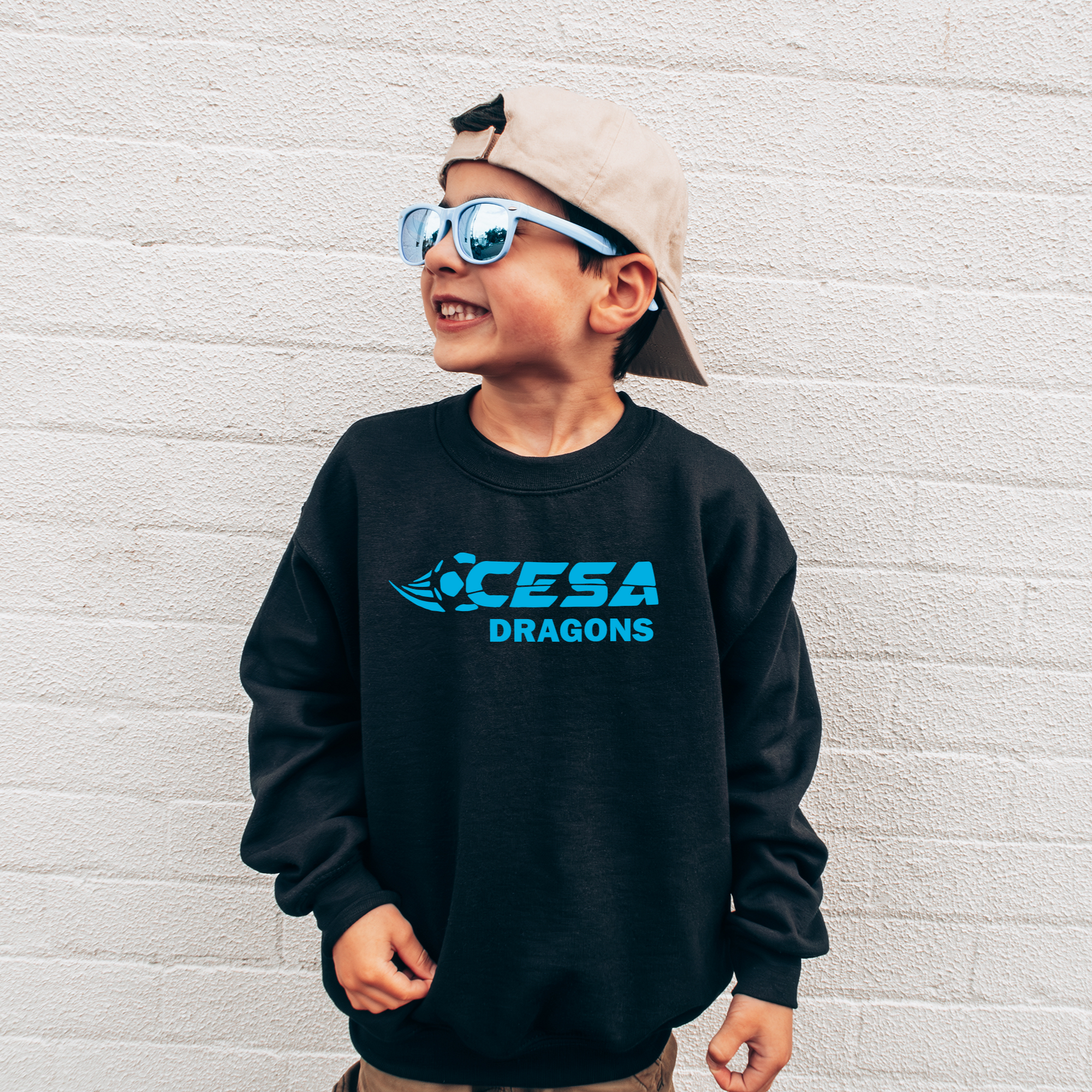 Youth Dragons Sweatshirt